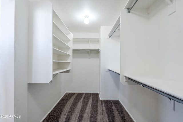 spacious closet with dark colored carpet