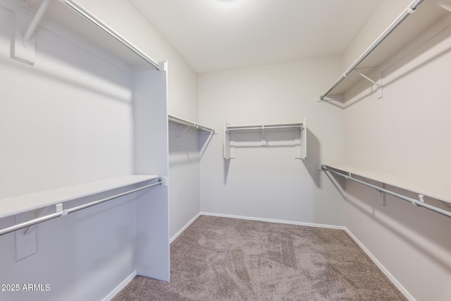 spacious closet with light colored carpet