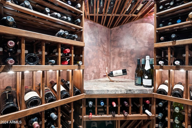 view of wine cellar