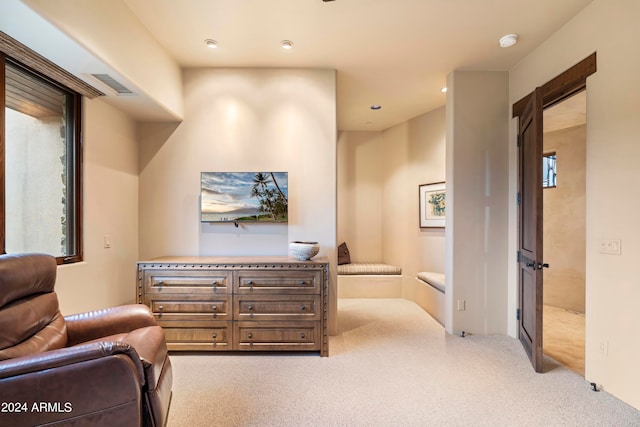 sitting room with carpet flooring