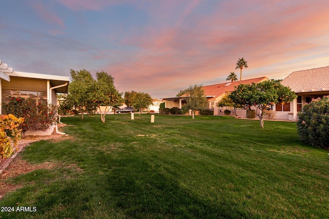 view of yard at dusk