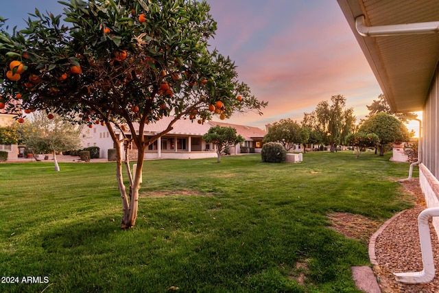 view of yard at dusk