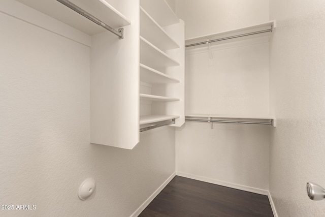 spacious closet featuring dark wood-type flooring