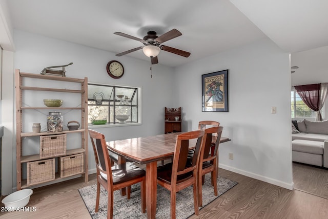 dining area with ceiling fan and hardwood / wood-style flooring