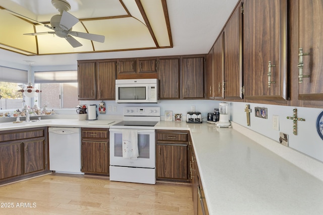 kitchen with ceiling fan, white appliances, sink, and light wood-type flooring