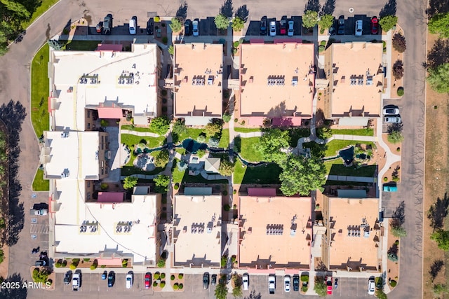 bird's eye view