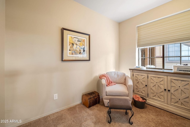 living area with carpet floors and baseboards