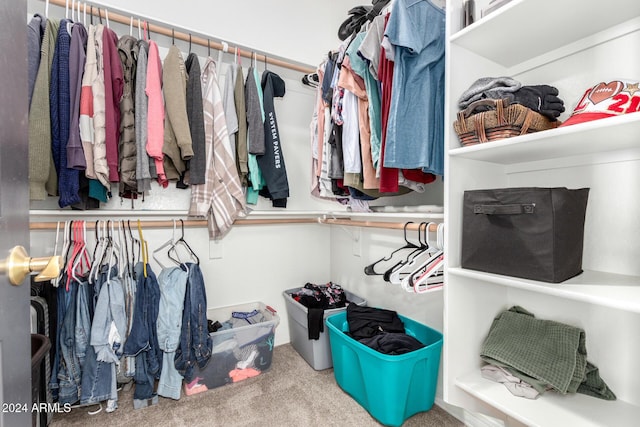 walk in closet with carpet