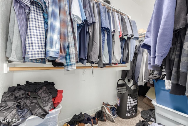 walk in closet with carpet flooring