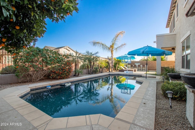 view of swimming pool with a patio