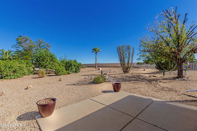 view of yard with a patio