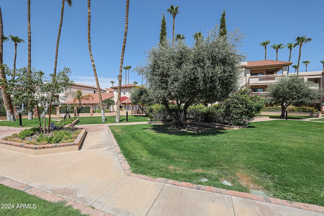 surrounding community featuring a lawn