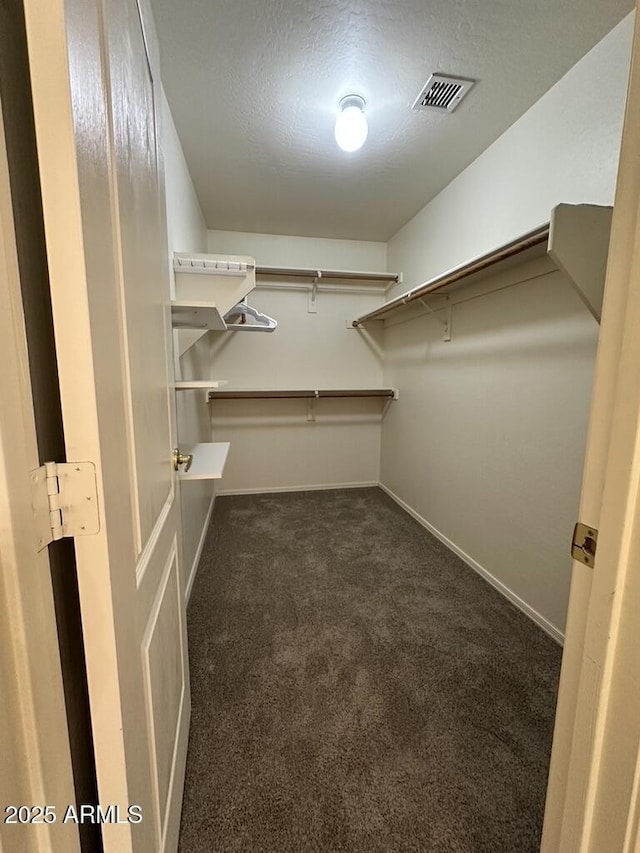 walk in closet featuring carpet flooring