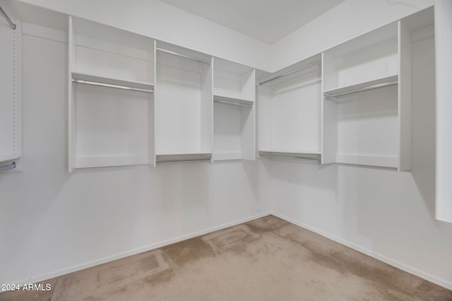 walk in closet featuring light carpet