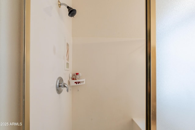 170 E Canary Ct, San Tan Valley, AZ 85143 - bathroom view of a shower