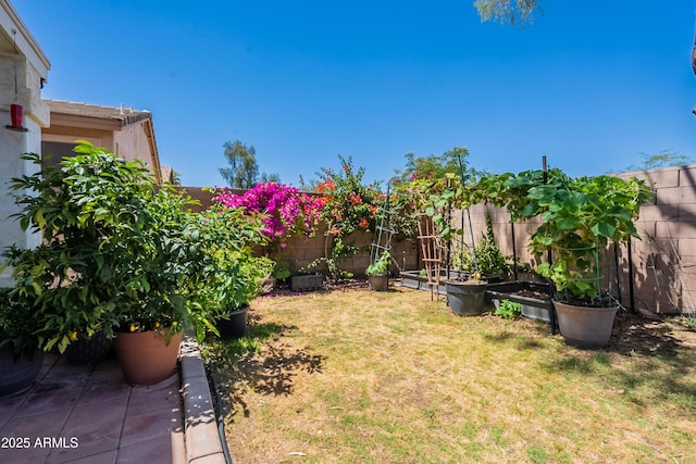 170 E Canary Ct, San Tan Valley, AZ 85143 - view of yard with a garden