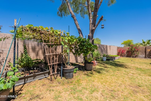 170 E Canary Ct, San Tan Valley, AZ 85143 - view of yard with a garden