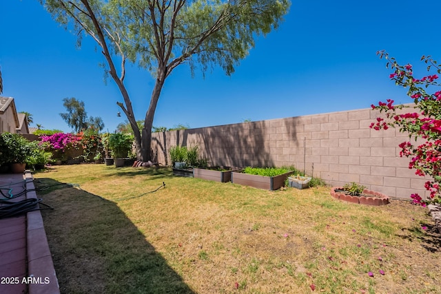 170 E Canary Ct, San Tan Valley, AZ 85143 - view of yard with a garden
