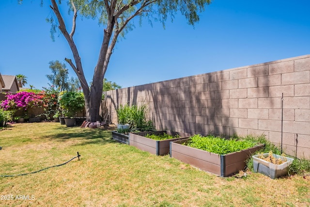 170 E Canary Ct, San Tan Valley, AZ 85143 - view of yard with a garden