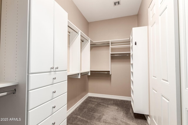 6805 S Sapphire Way, Chandler, AZ 85249 - spacious closet with dark colored carpet