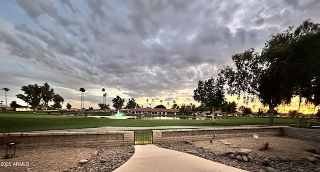 view of community with a yard