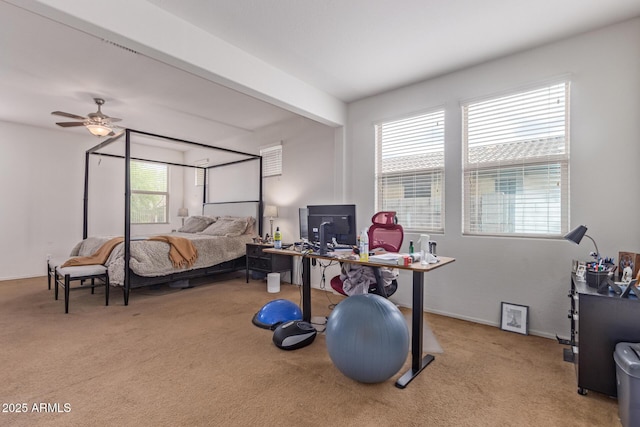4216 W Harwell Rd, Laveen, AZ 85339 - bedroom with carpet floors and multiple windows