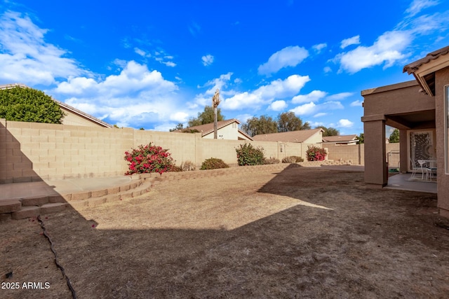 view of yard with a patio