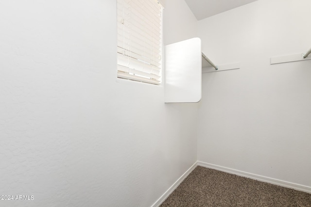 spacious closet featuring carpet flooring