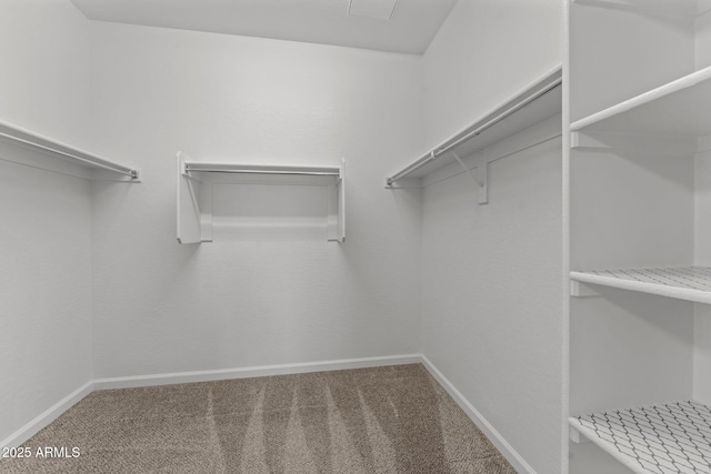 4539 Charro Ct, Wickenburg, AZ 85390 - spacious closet with carpet