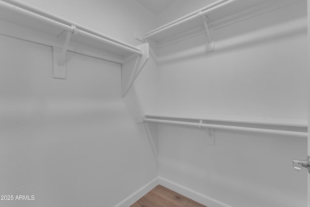 spacious closet featuring wood finished floors