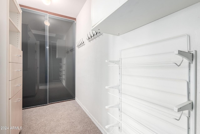 spacious closet with light carpet