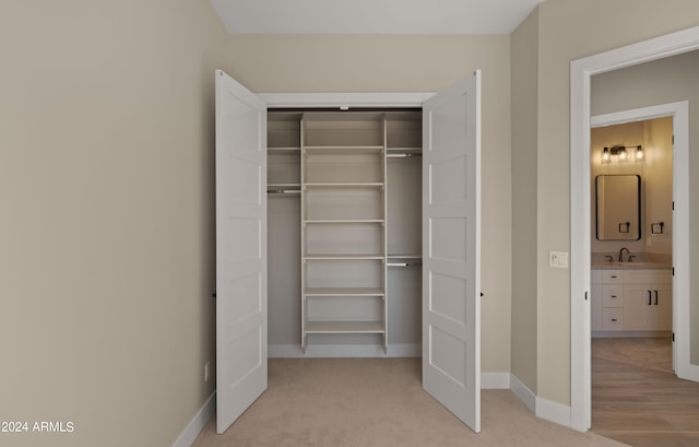 closet with sink