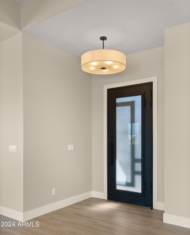 foyer entrance with hardwood / wood-style floors