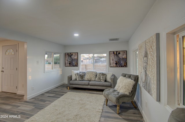 living room with hardwood / wood-style flooring