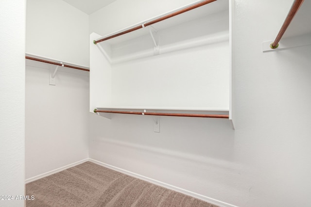 spacious closet featuring carpet flooring