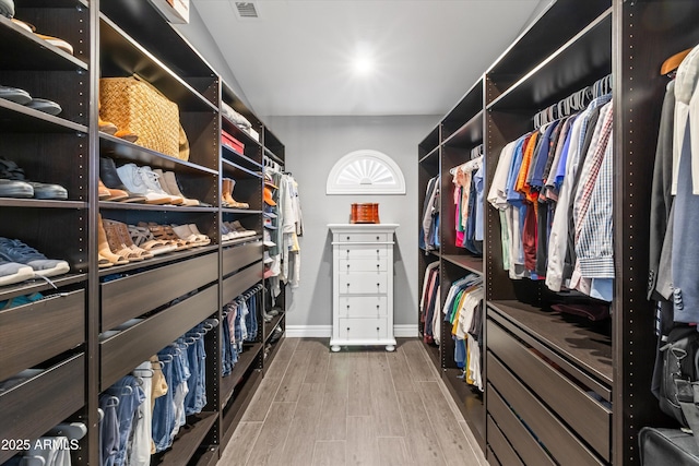 spacious closet featuring wood-type flooring