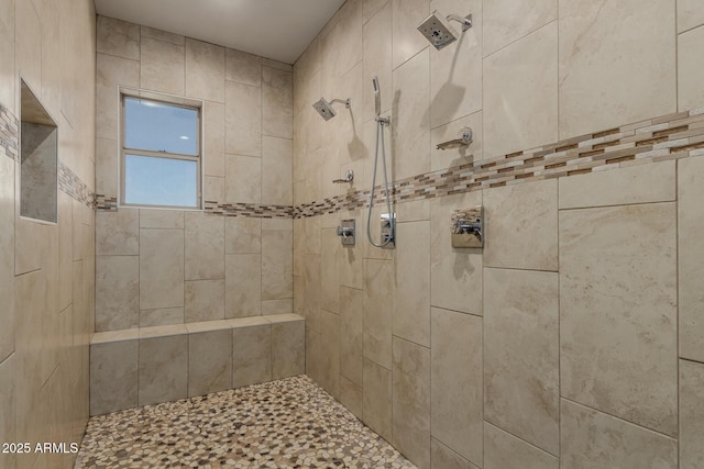16178 W Granada Rd, Goodyear, AZ 85395 - bathroom featuring a tile shower