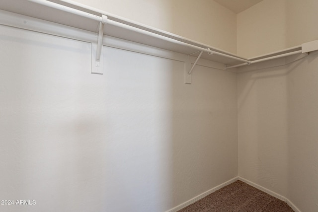 spacious closet featuring carpet