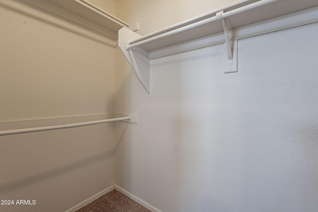 walk in closet with carpet