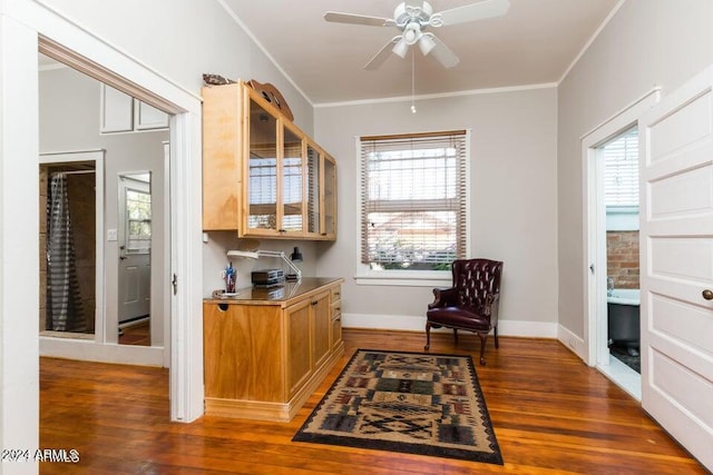 interior space with crown molding, ceiling fan, plenty of natural light, and wood finished floors