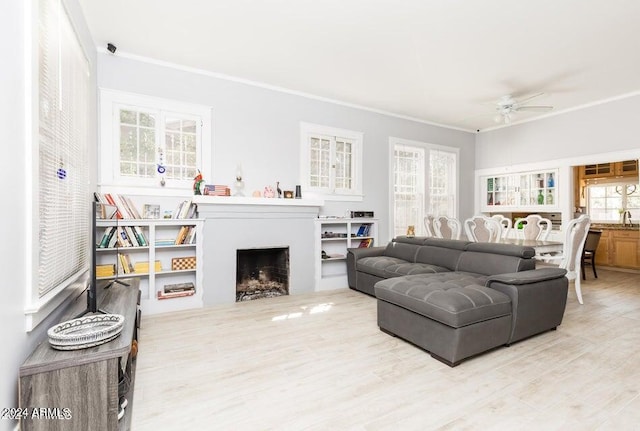 living room with ornamental molding, ceiling fan, wood finished floors, and a fireplace