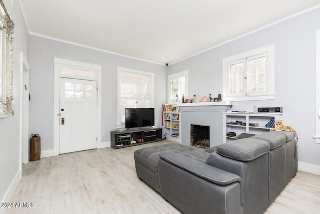 living area featuring crown molding, wood finished floors, a fireplace, and baseboards