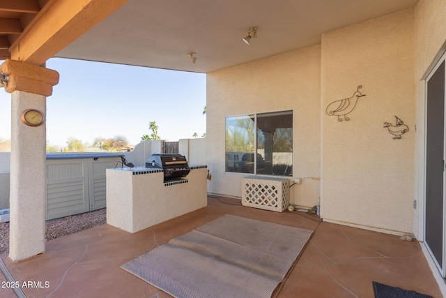 view of patio / terrace featuring grilling area and area for grilling