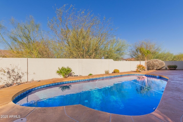 view of swimming pool