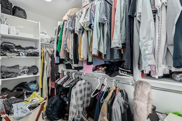 view of spacious closet