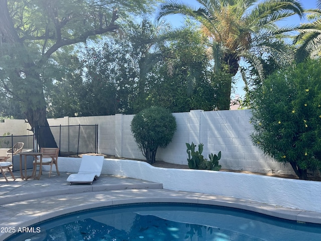 5556 E Sandra Ter, Scottsdale, AZ 85254 - view of pool with a patio area