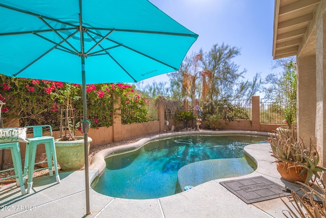 view of swimming pool with a patio