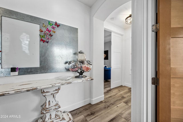 bathroom with wood-type flooring