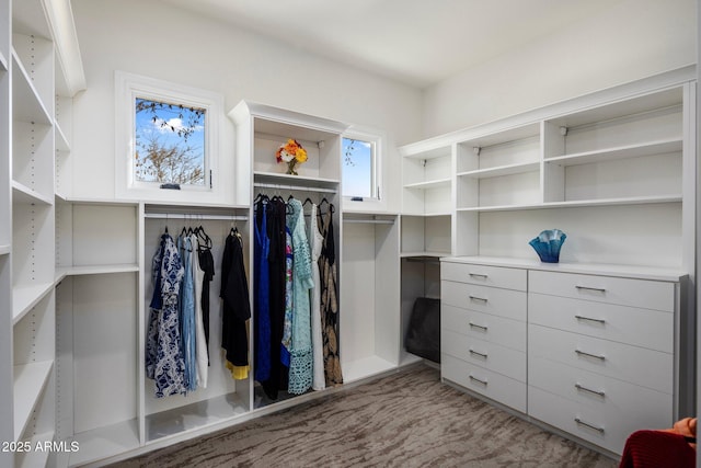 walk in closet with light colored carpet