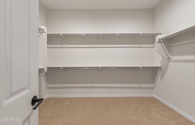 spacious closet featuring light carpet